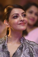 MLA Movie Pre Releae Event Photos